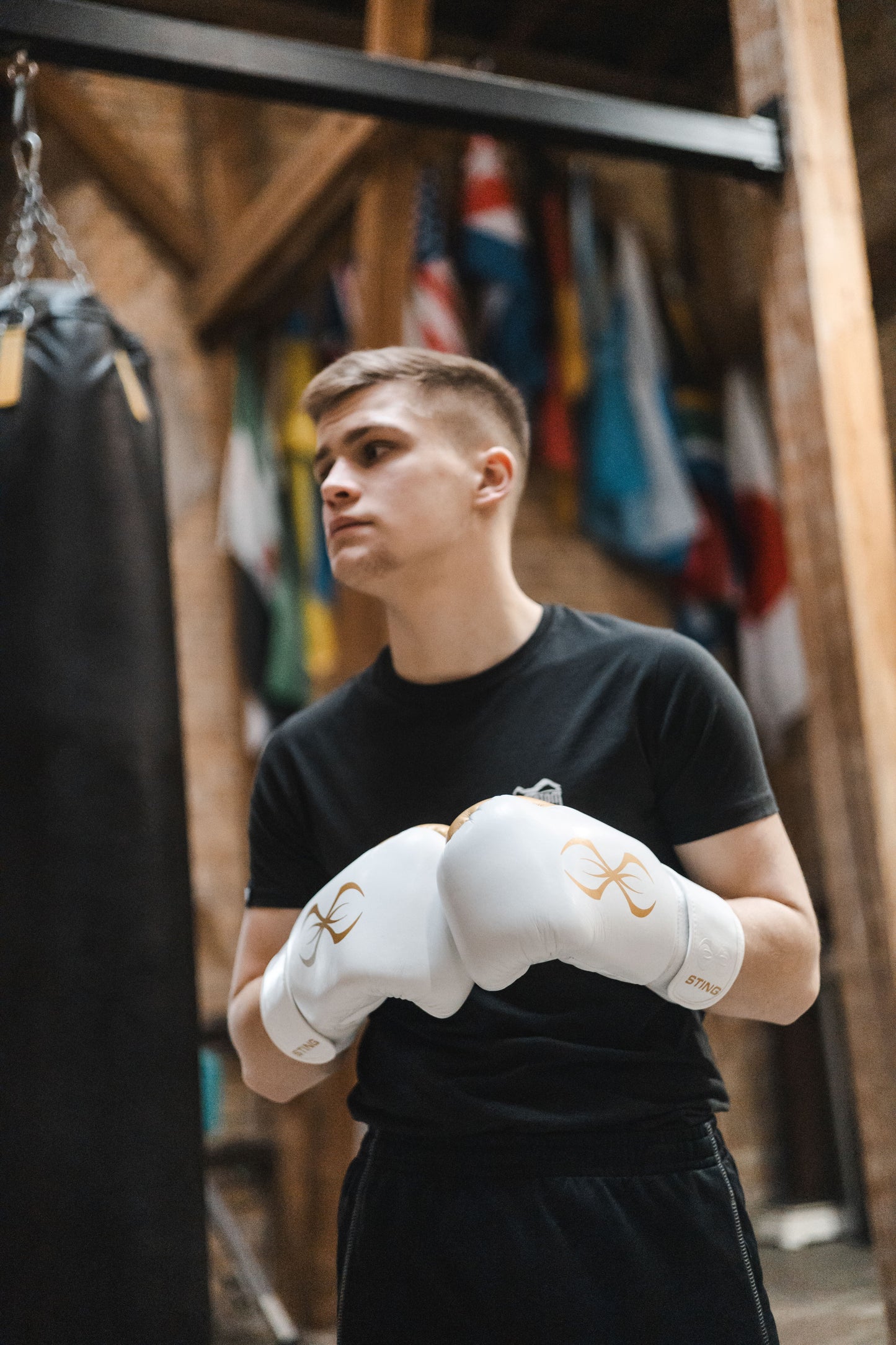 Sting Evolution Boxhandschuhe "weiß/gold"
