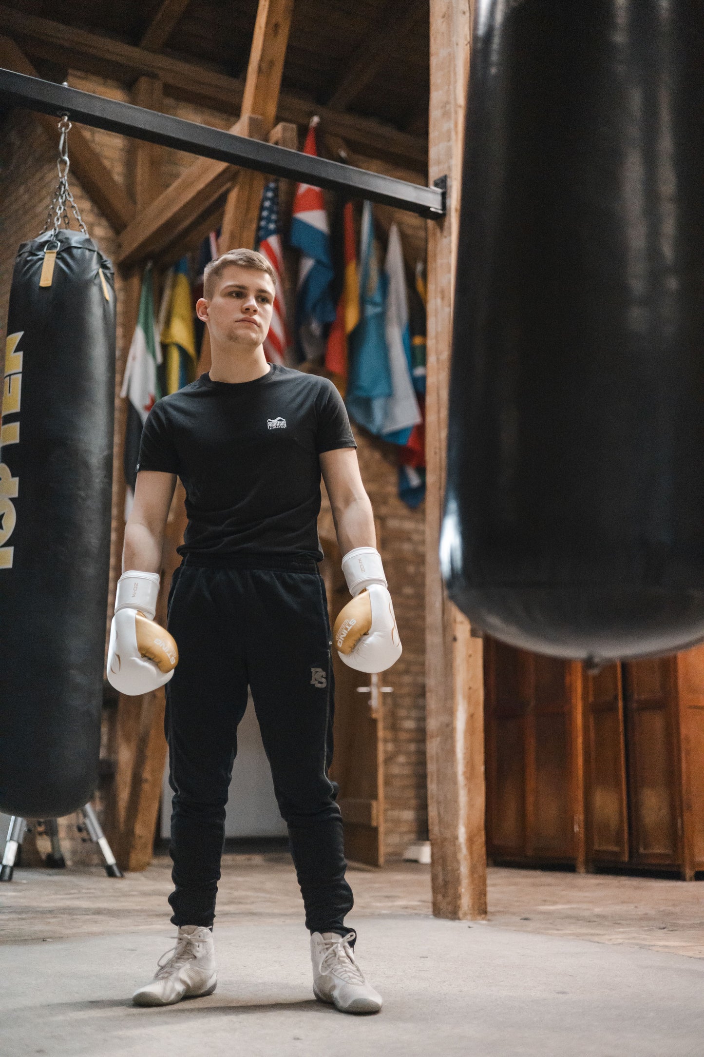 Sting Evolution Boxhandschuhe "weiß/gold"