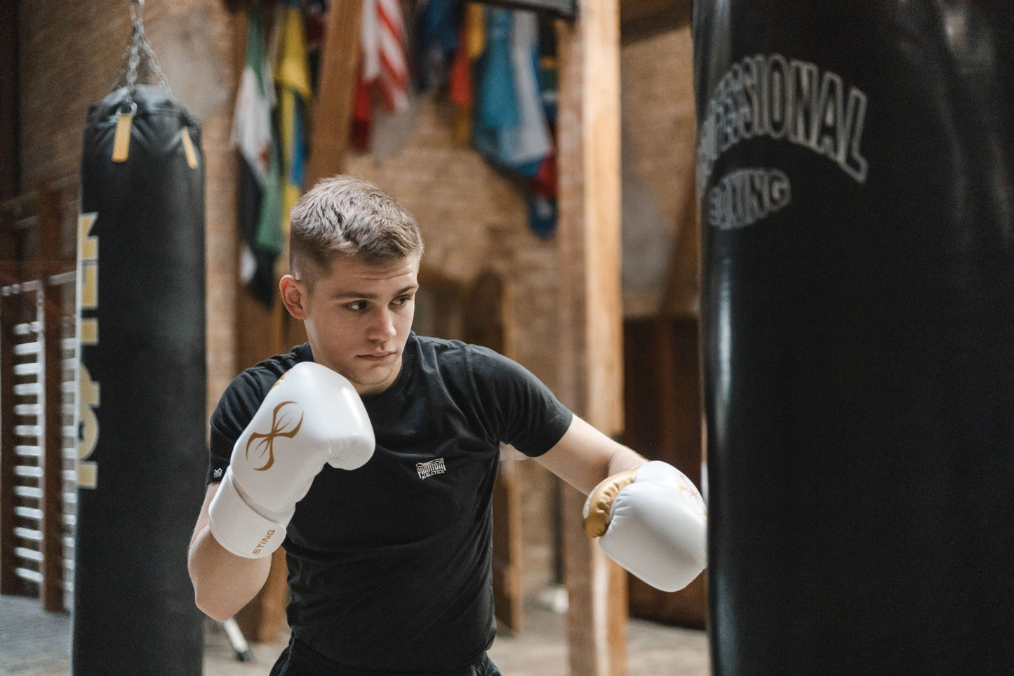 Sting Evolution Boxhandschuhe "weiß/gold"