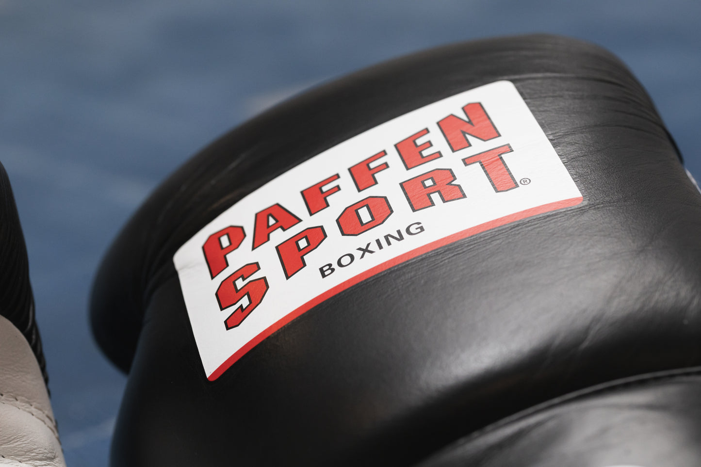 «PRO HEAVY HITTER» Boxhandschuhe für das Sparring