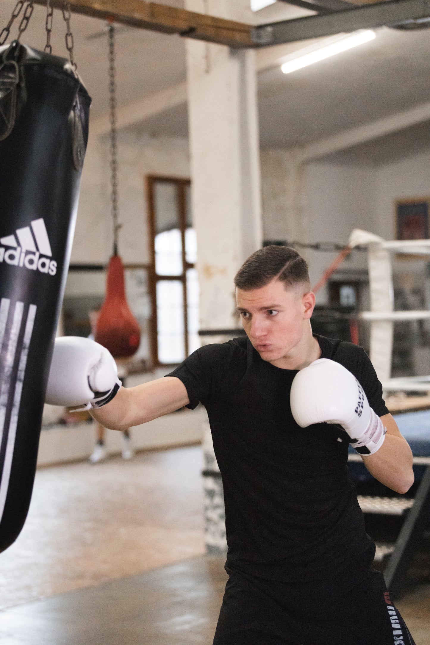 «PRO LACE» Boxhandschuhe für das Sparring "weiß"