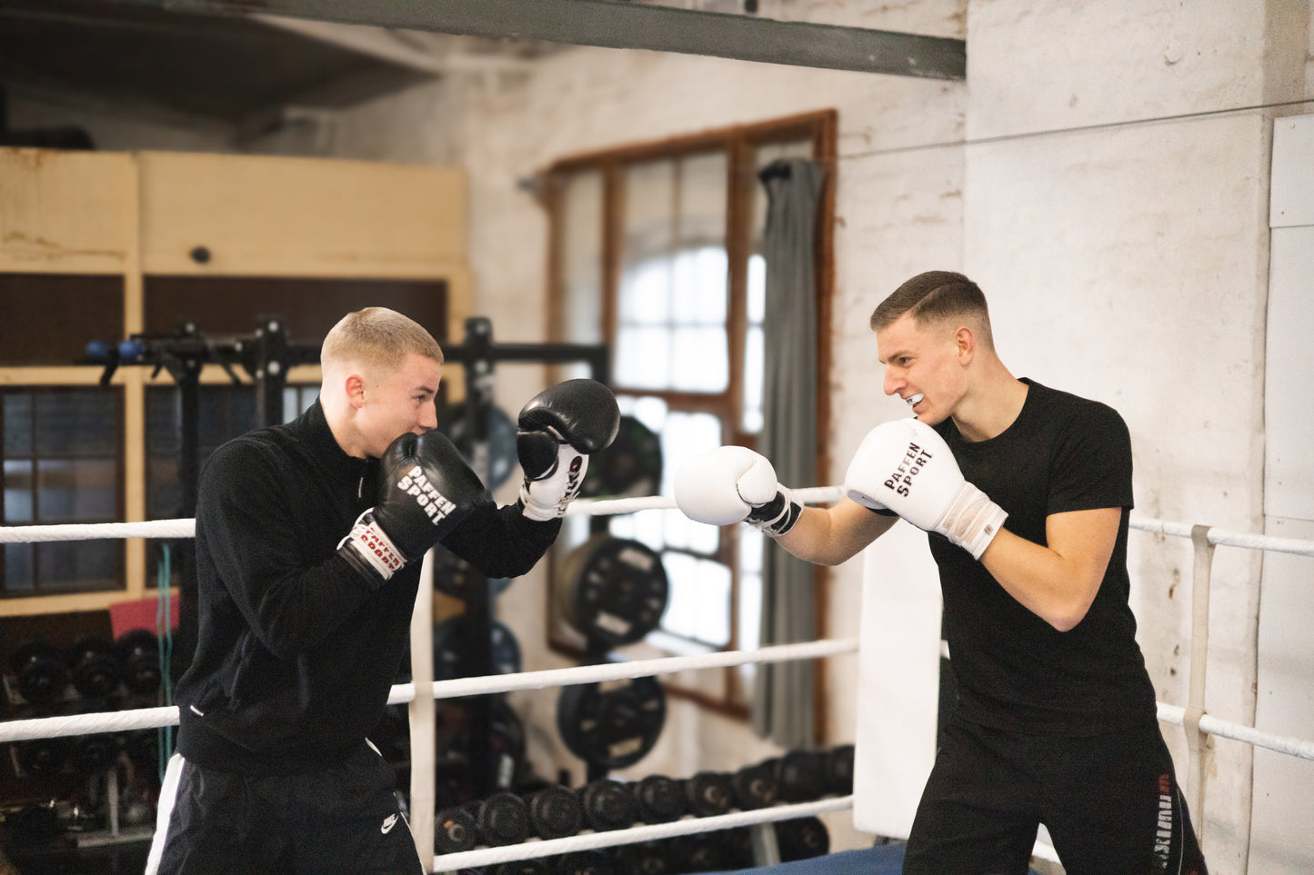 «PRO LACE» Boxhandschuhe für das Sparring "weiß"