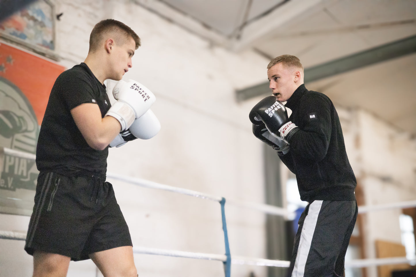 «PRO KLETT» Boxhandschuhe für das Training "weiß"