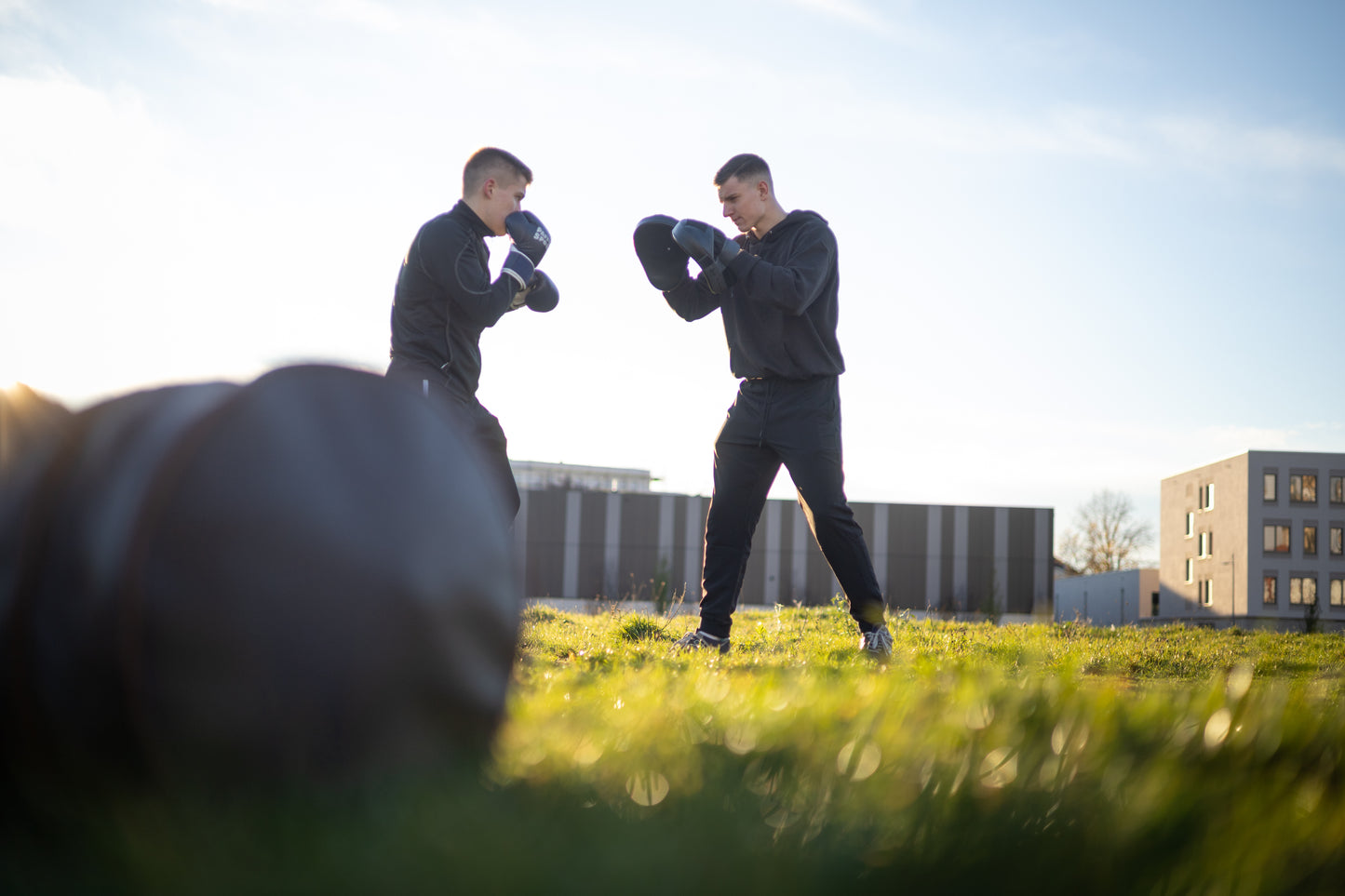 «PRO KLETT» Boxhandschuhe für das Training "navyblue"